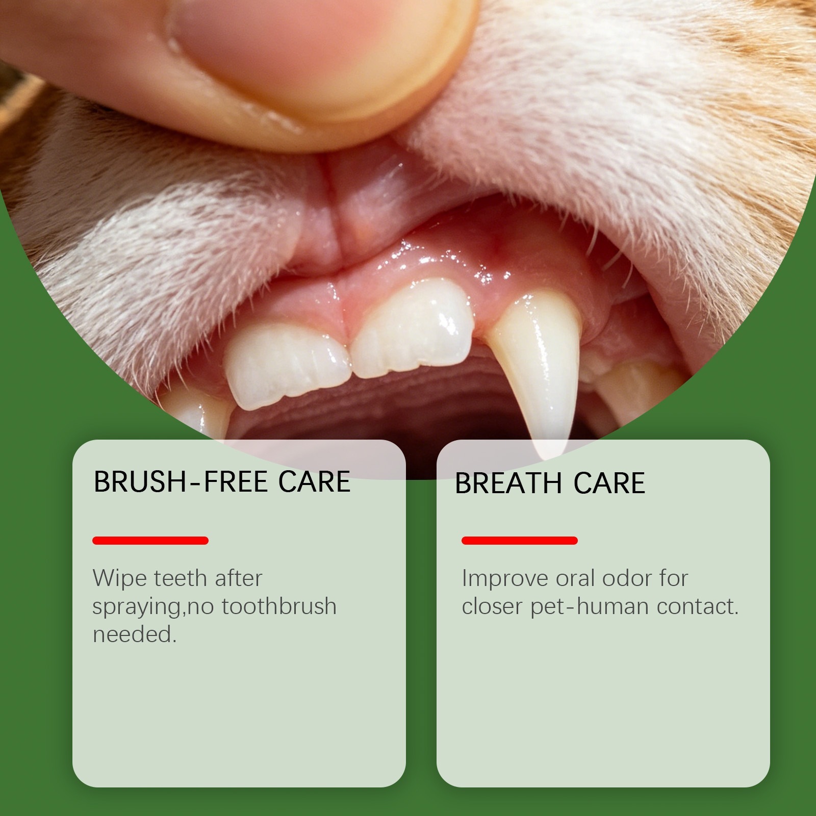 Dental Care Spray For Dogs - Image 5